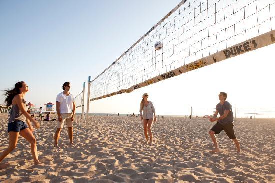 gift sendt kontakt 10 Reasons Volleyball is the Perfect Game for Overall Wellness - Loudoun  Chamber