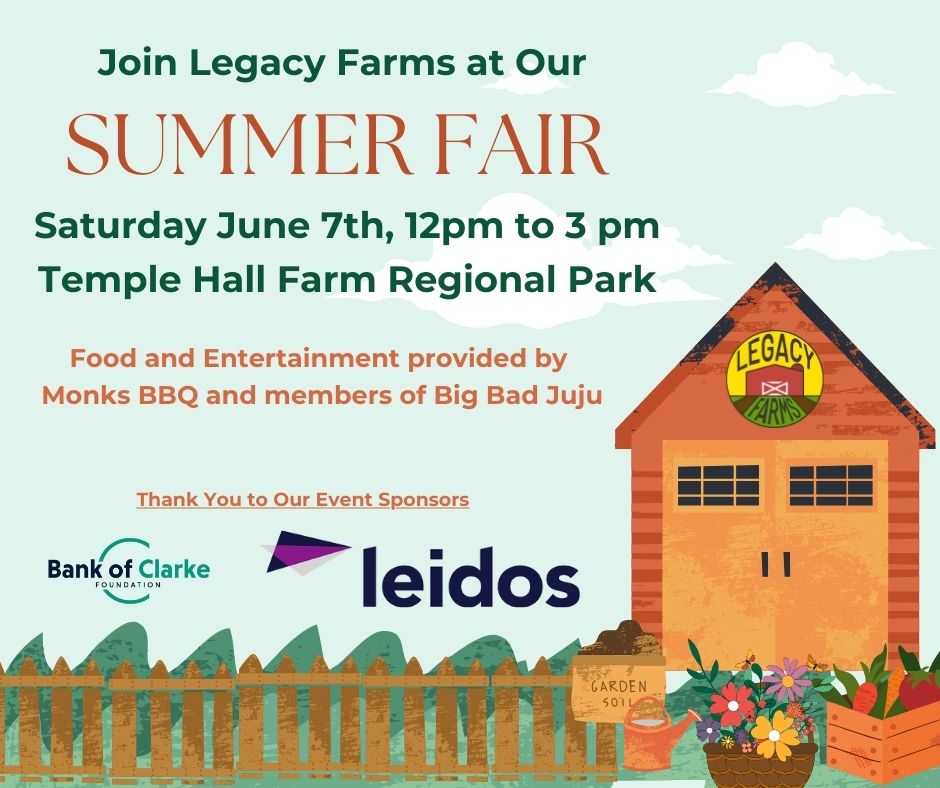 Legacy Farms Summer Fair