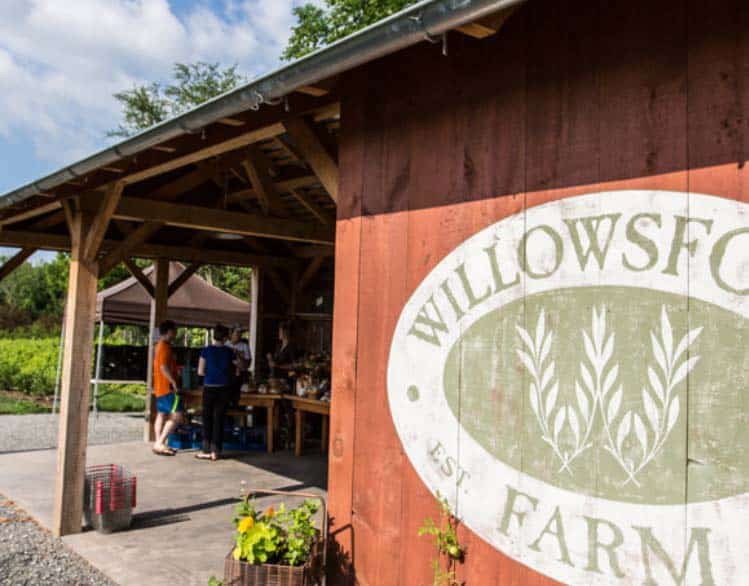 Willowsford Conservancy Farm Stand Re-Opening