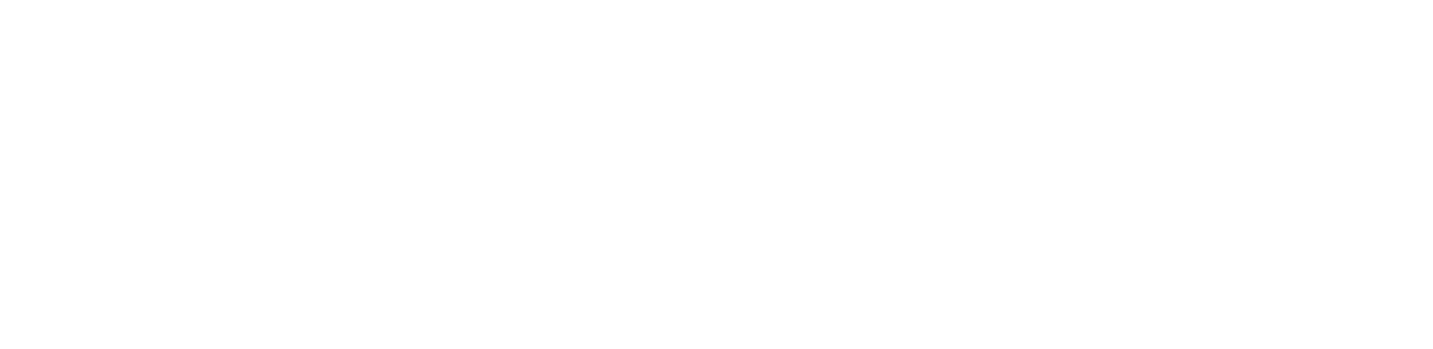 Loudoun Chamber - Logo