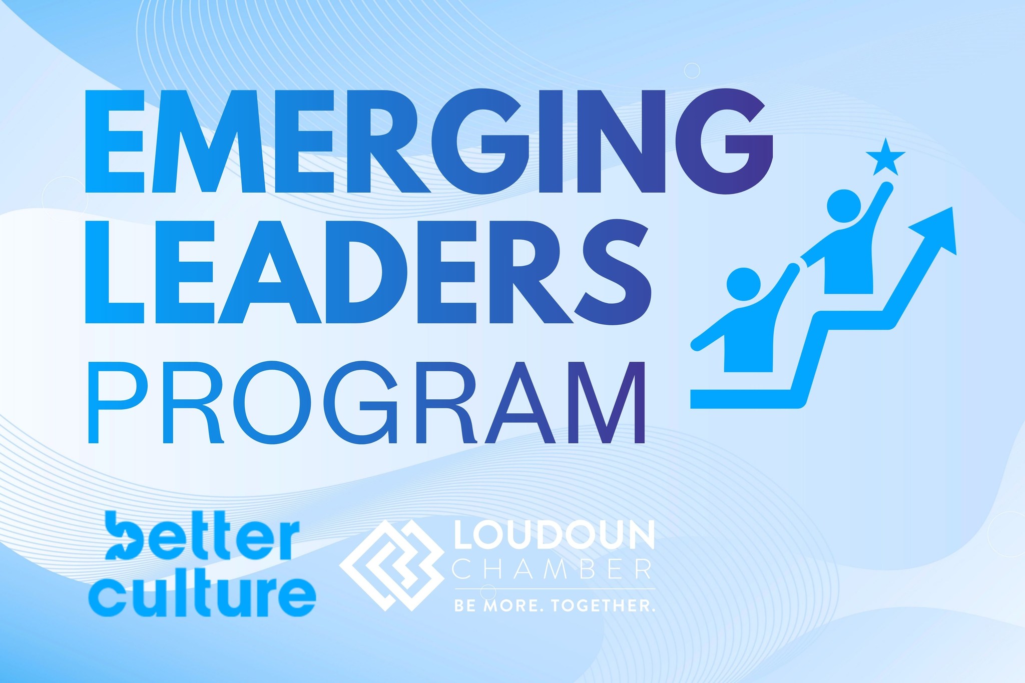 Emerging Leaders Program: Linking Organizational Culture & Leadership