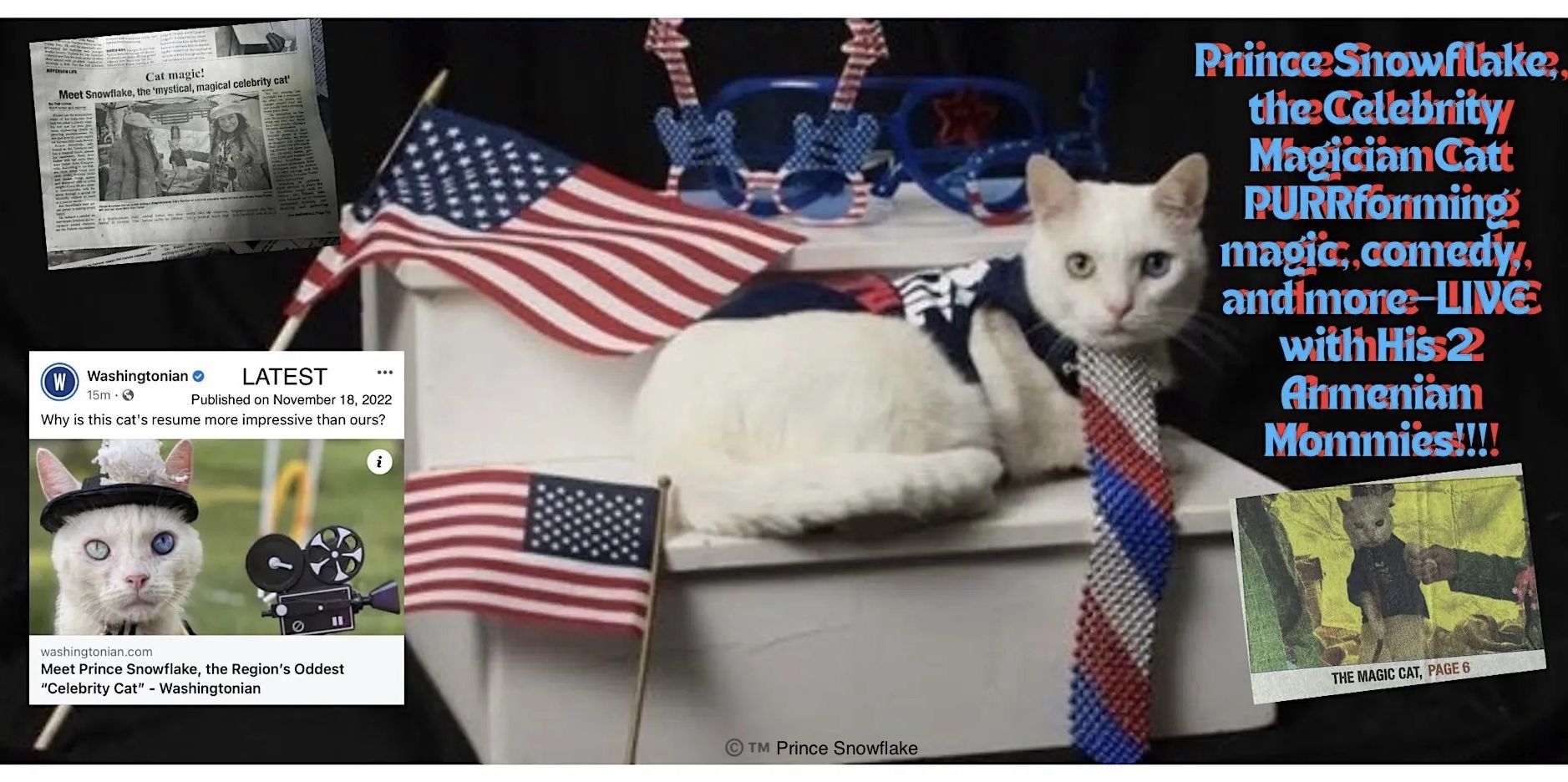 Prince Snowflake,The Celebrity Magician Cat, with His 2 Armenian Mommies,  250th USA PURRtacular CelePURRbration Show!!!